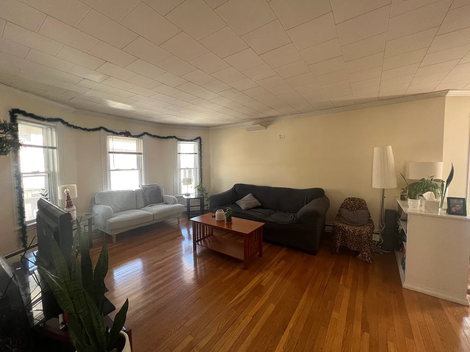 33 Winslow Ave, Davis Square