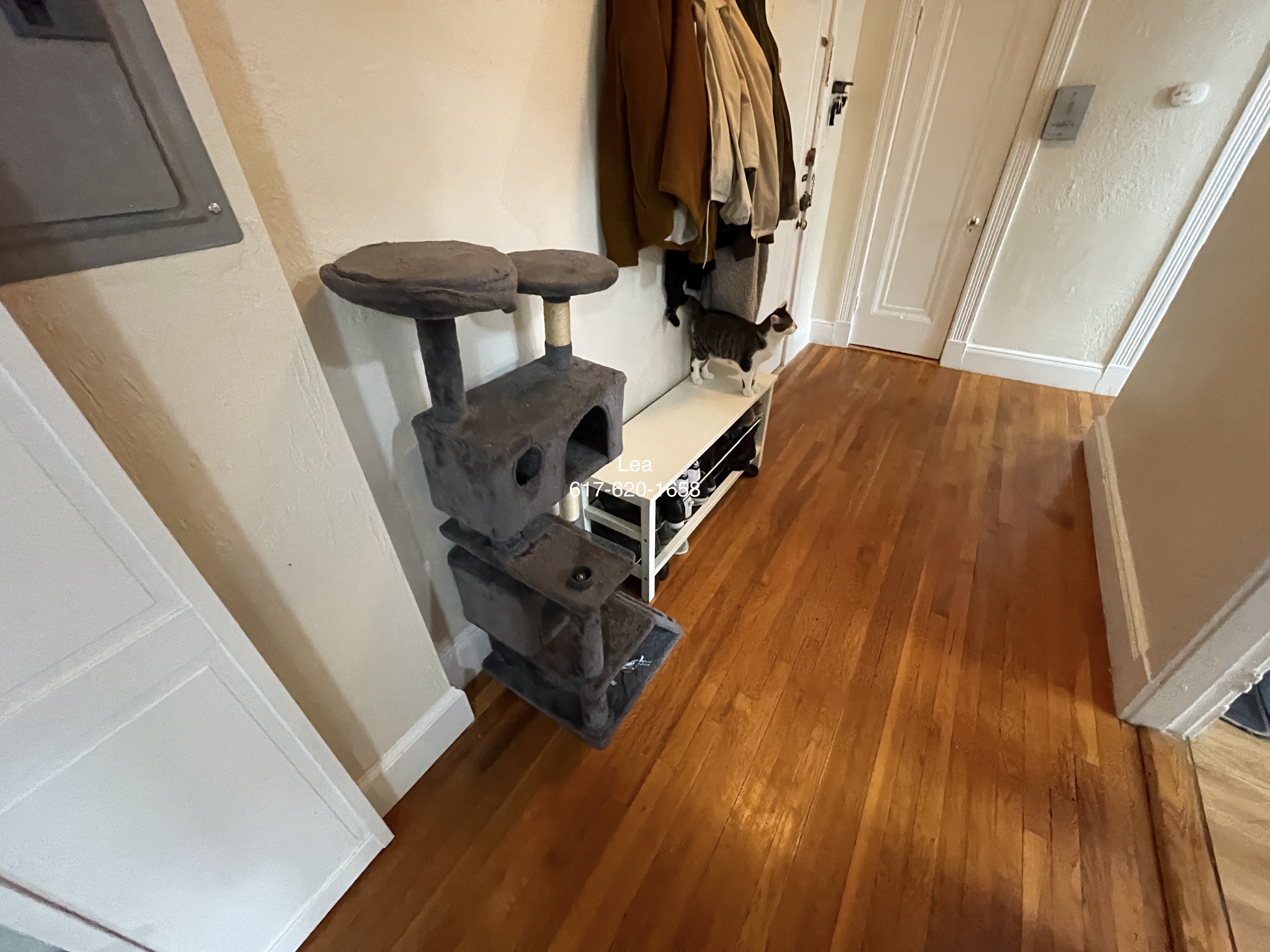 1800 Commonwealth Ave, Brighton