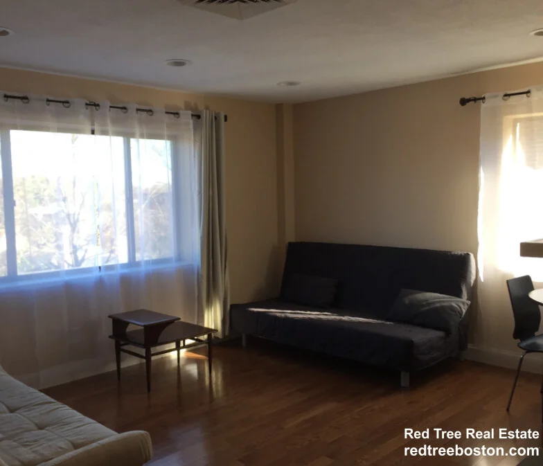 276 Chestnut Hill Ave, Brighton