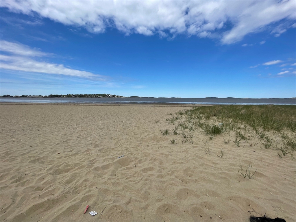 41 Webster St, Wollaston