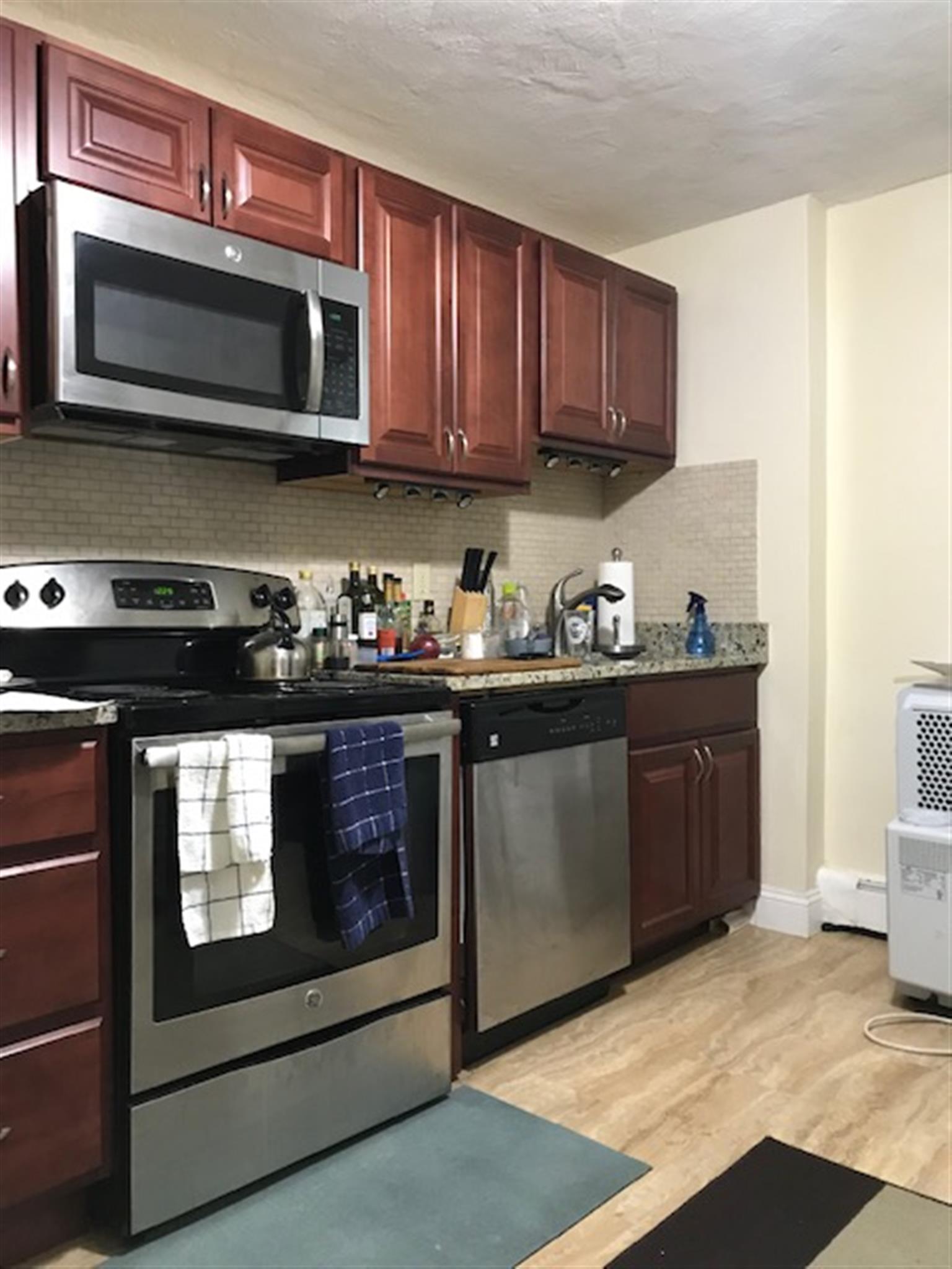 1 bed, 1 bath apartment for rent at 173 Hampshire St Unit 1, Central Square — photo 1 of 7