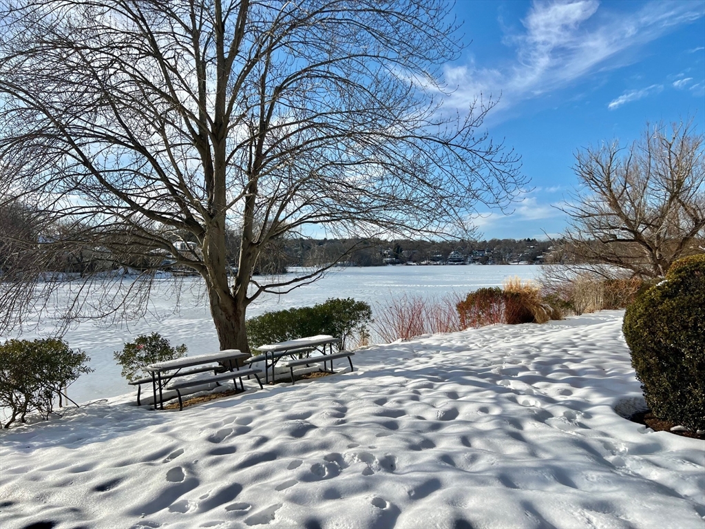 20 Hamilton Rd, Arlington