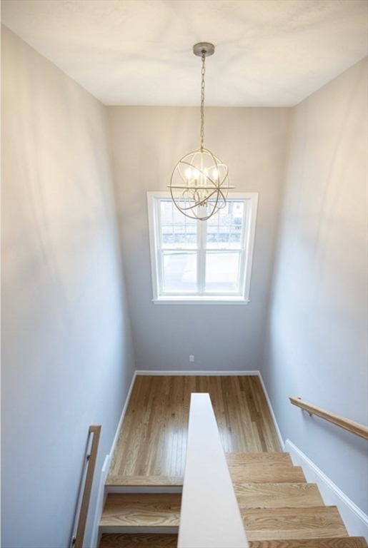 110 Apricot St, Webster Square