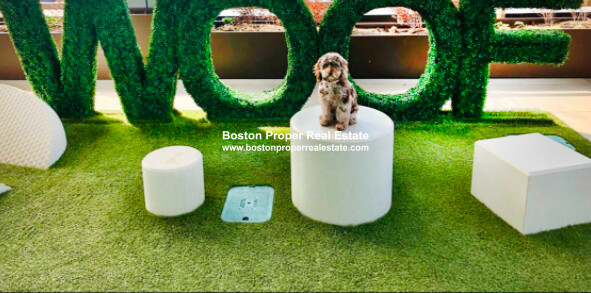 50 Causeway St, West End