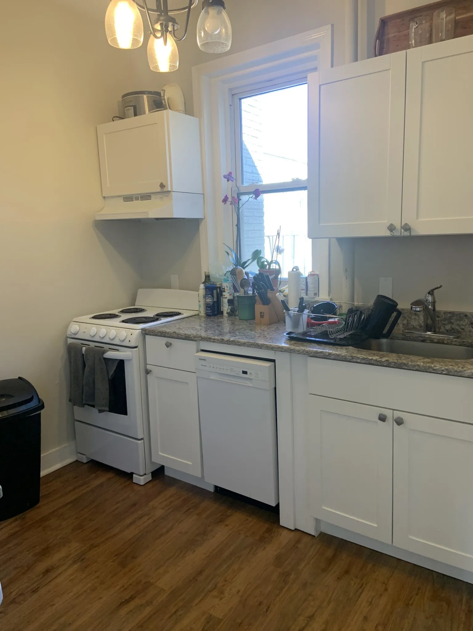 1189 Commonwealth Ave, Allston