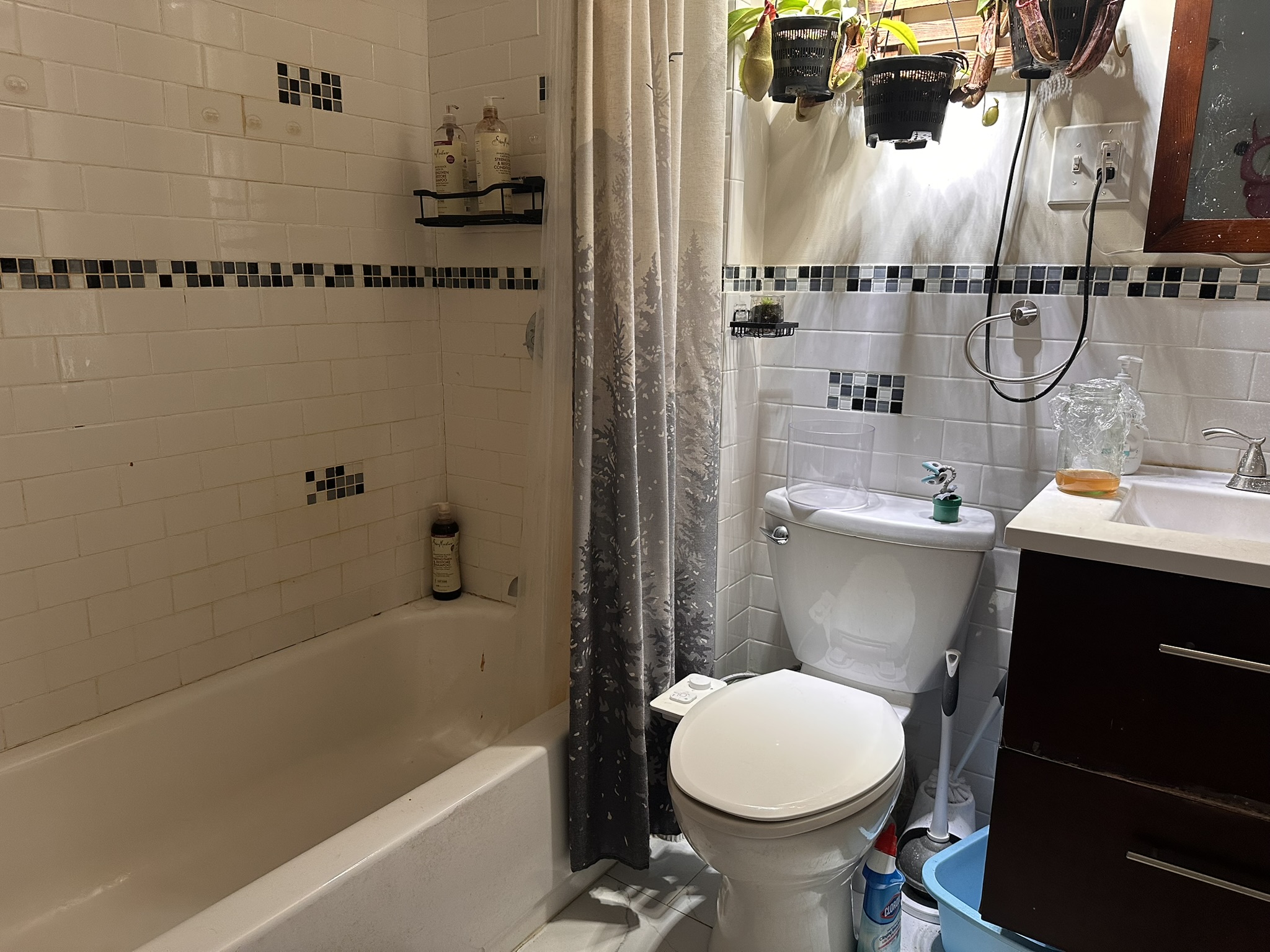 39 Stillman St, North End