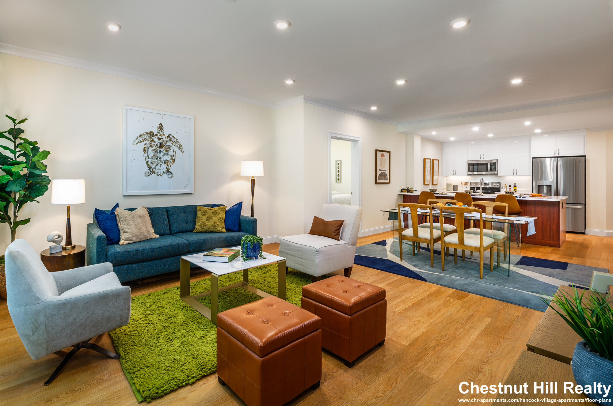 101 Asheville Rd, Chestnut Hill