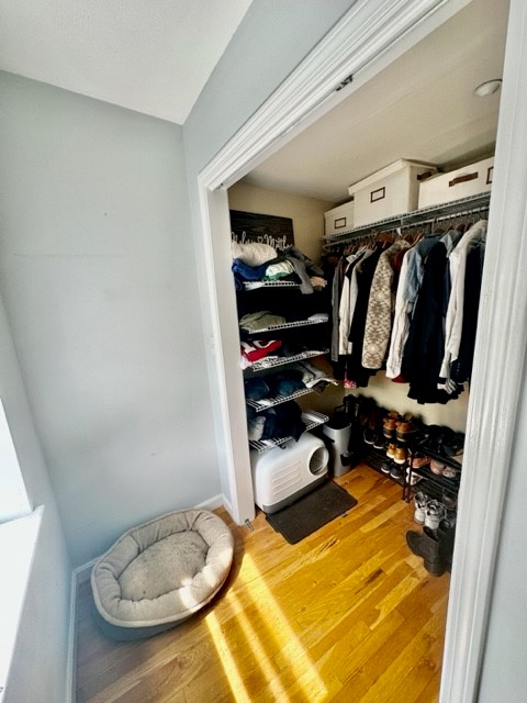 2 bed, 1 bath apartment for rent at 10 Harris St Unit 3, North End — photo 25 of 27