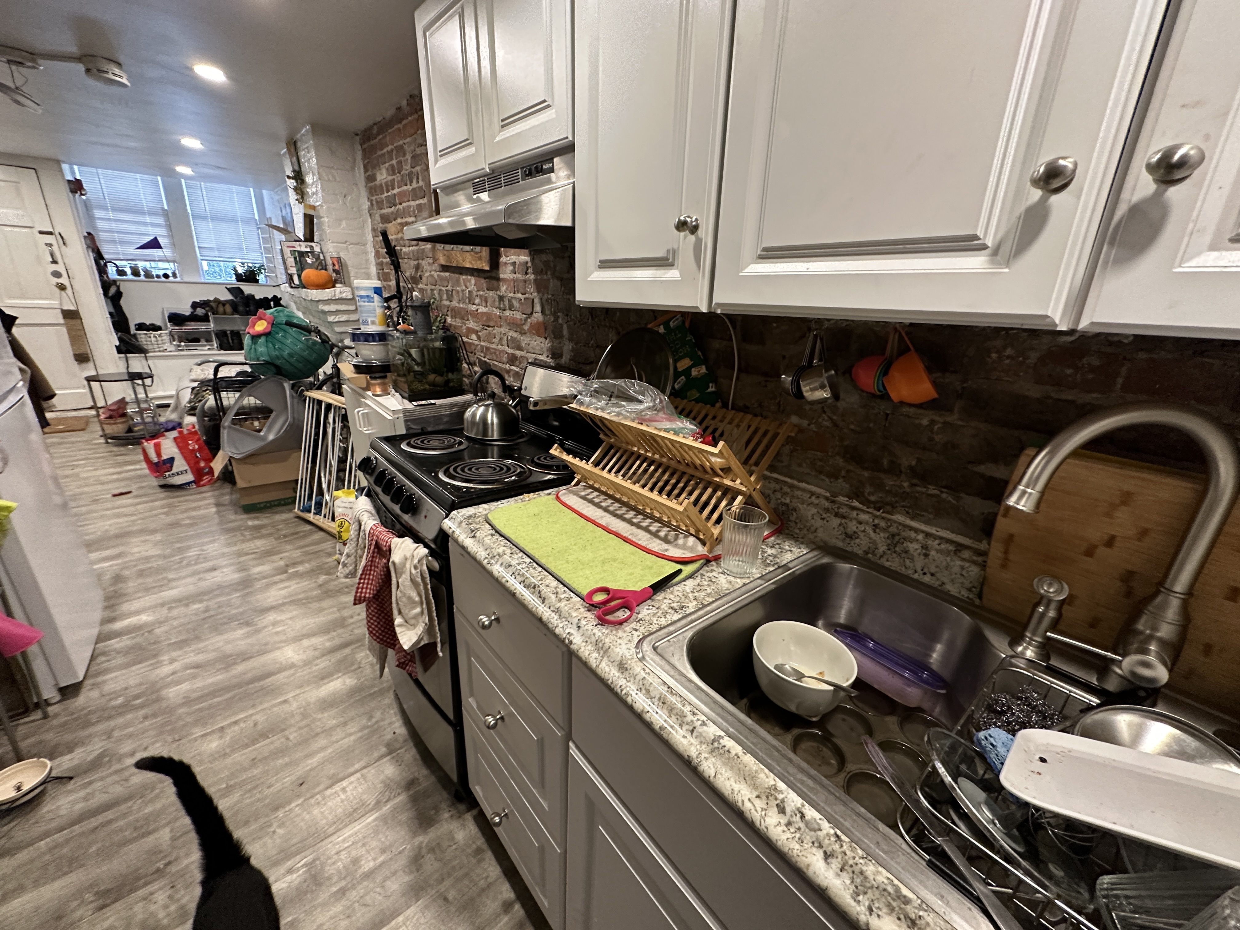 40 Anderson St, Beacon Hill