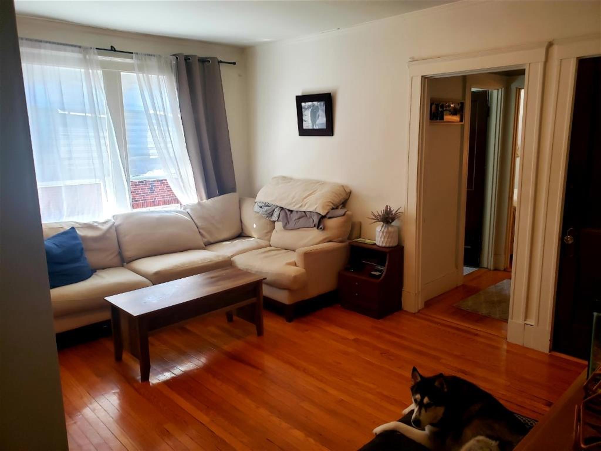 1 bed, 1 bath apartment for rent at 157 Summer St Unit 11F, Spring Hill — photo 3 of 10