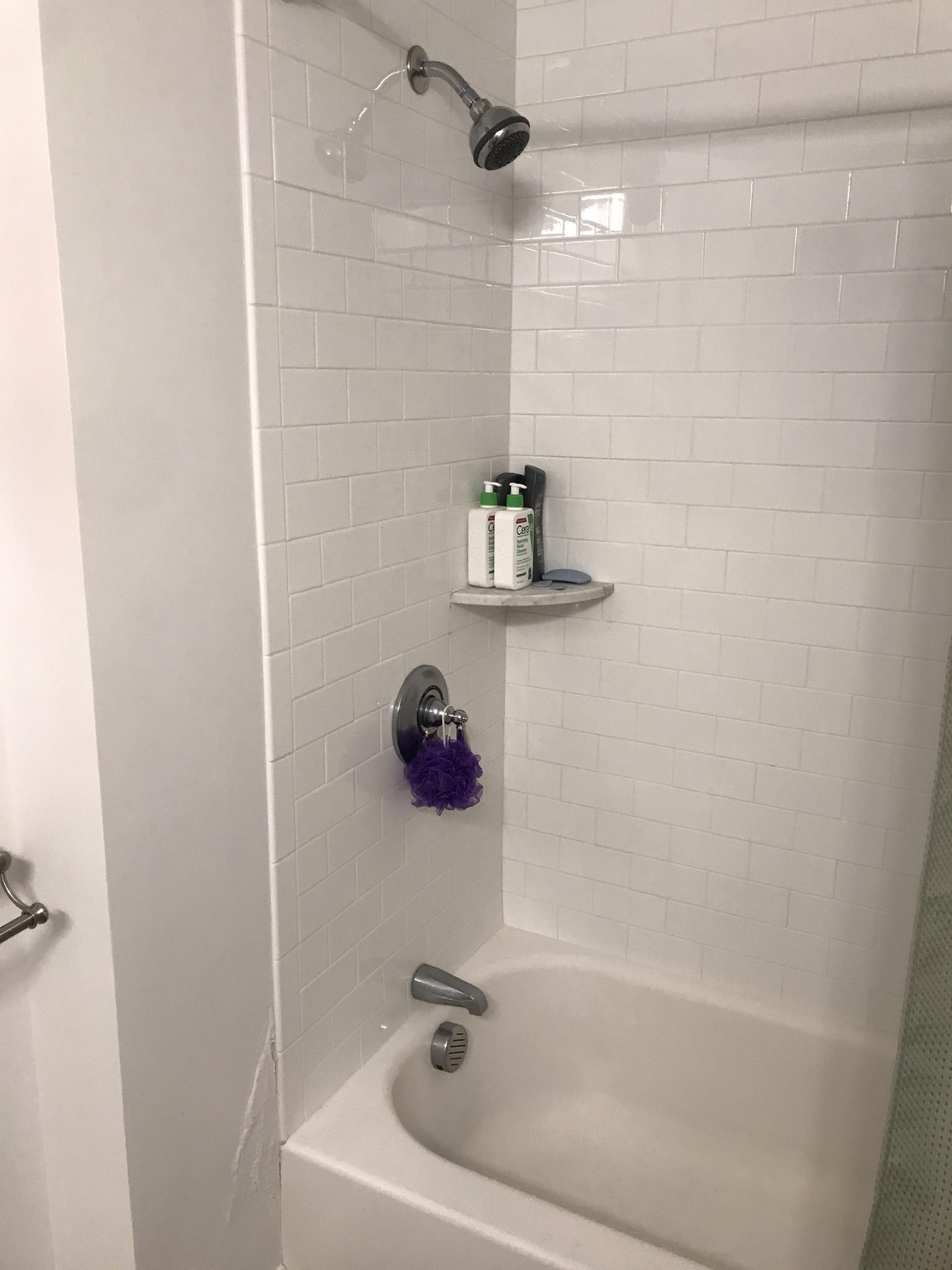 4 bed, 2 bath apartment for rent at 116 Holland St Unit 1L, Davis Square — photo 14 of 17