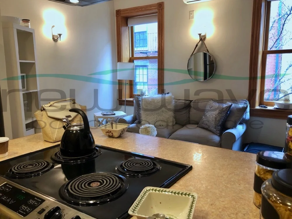 97 Myrtle St, Beacon Hill