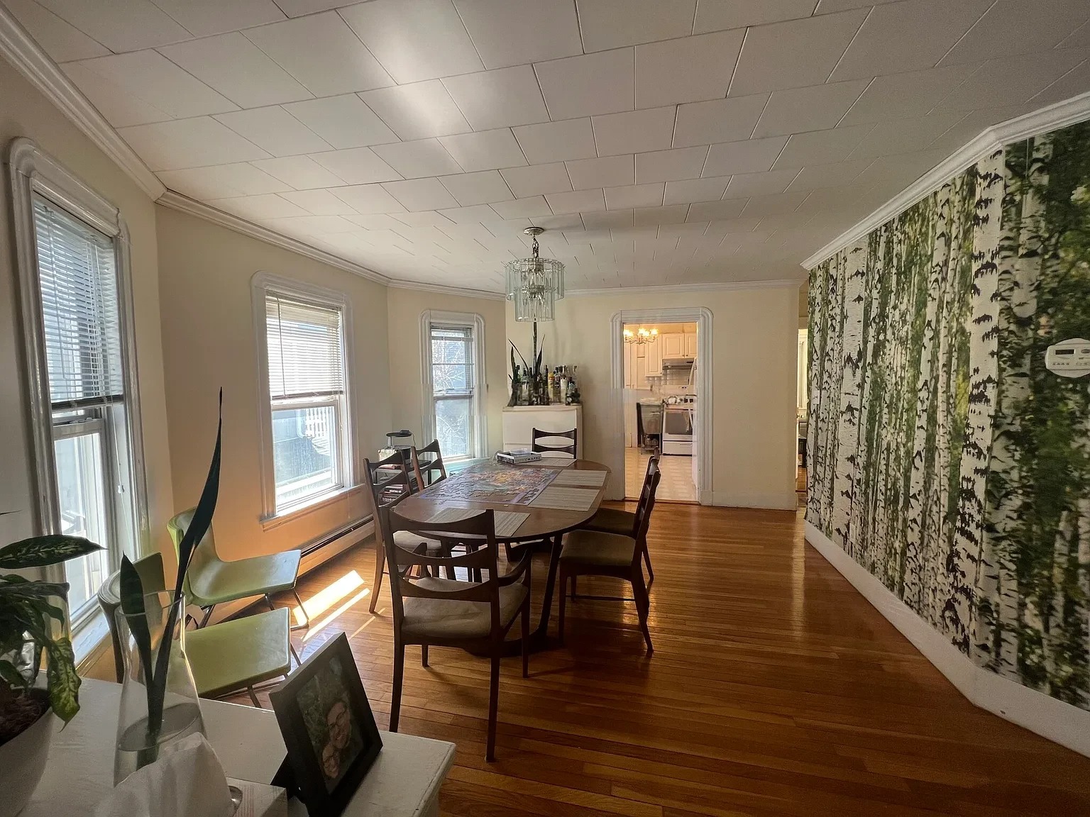 33 Winslow Ave, Davis Square