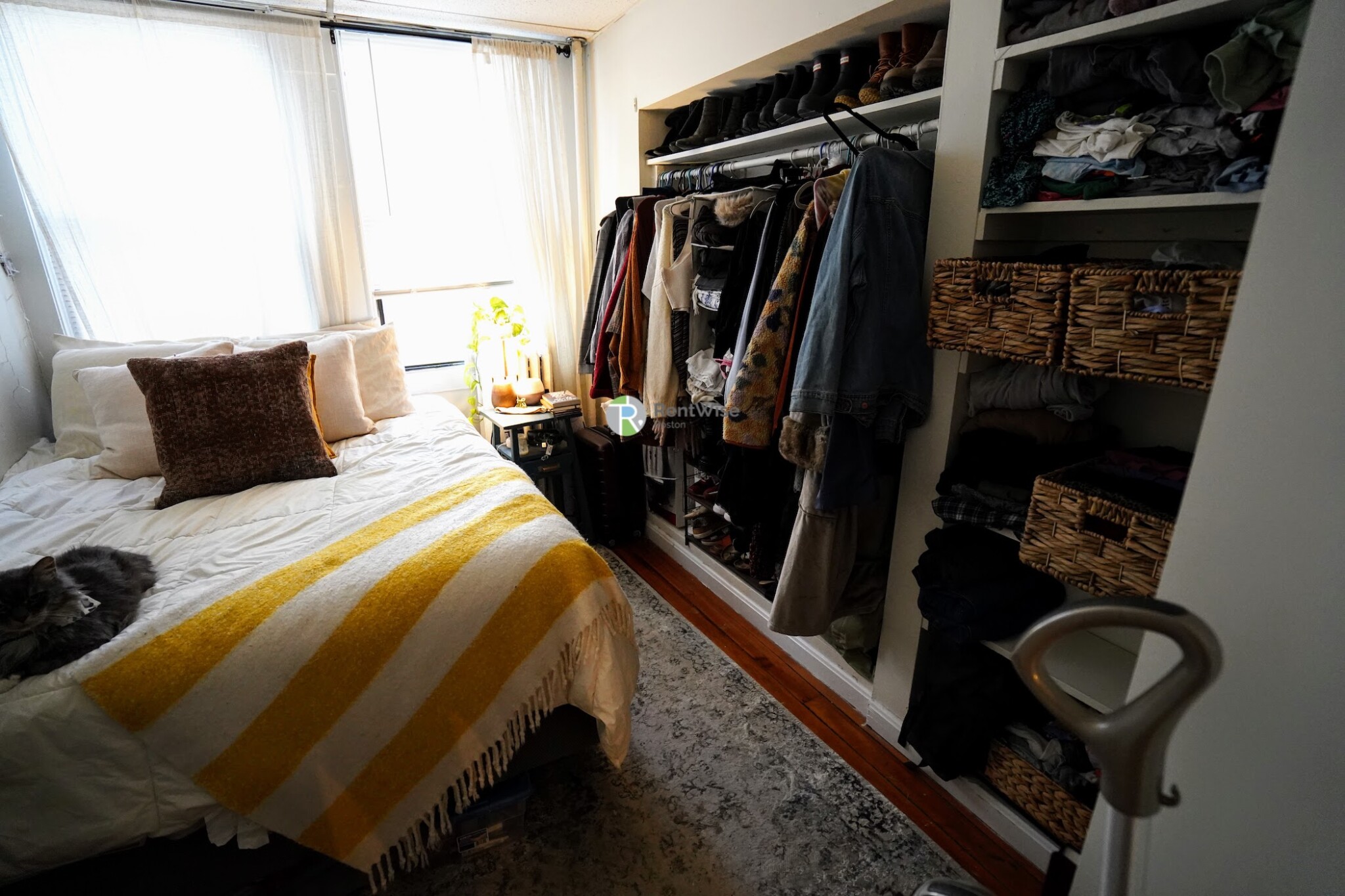 50 Park Vale Ave, Allston