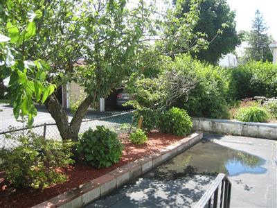 254 Harvard St, South Medford