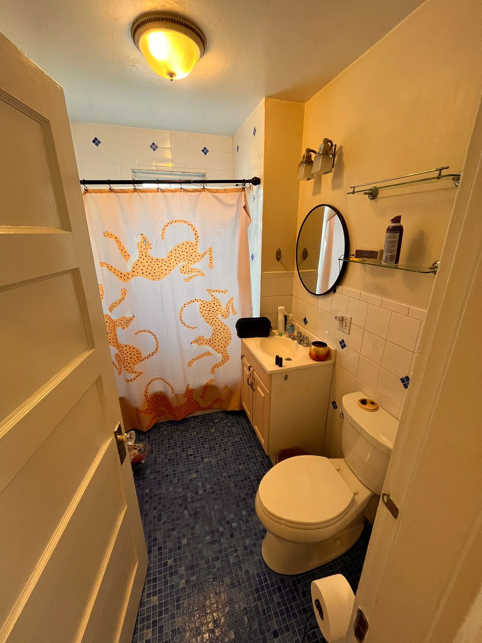 163 Belmont St, Belmont