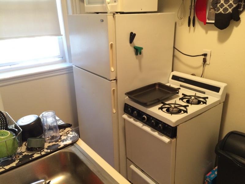 1209 Boylston St, Fenway