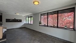 115 Highland Ave, Winter Hill