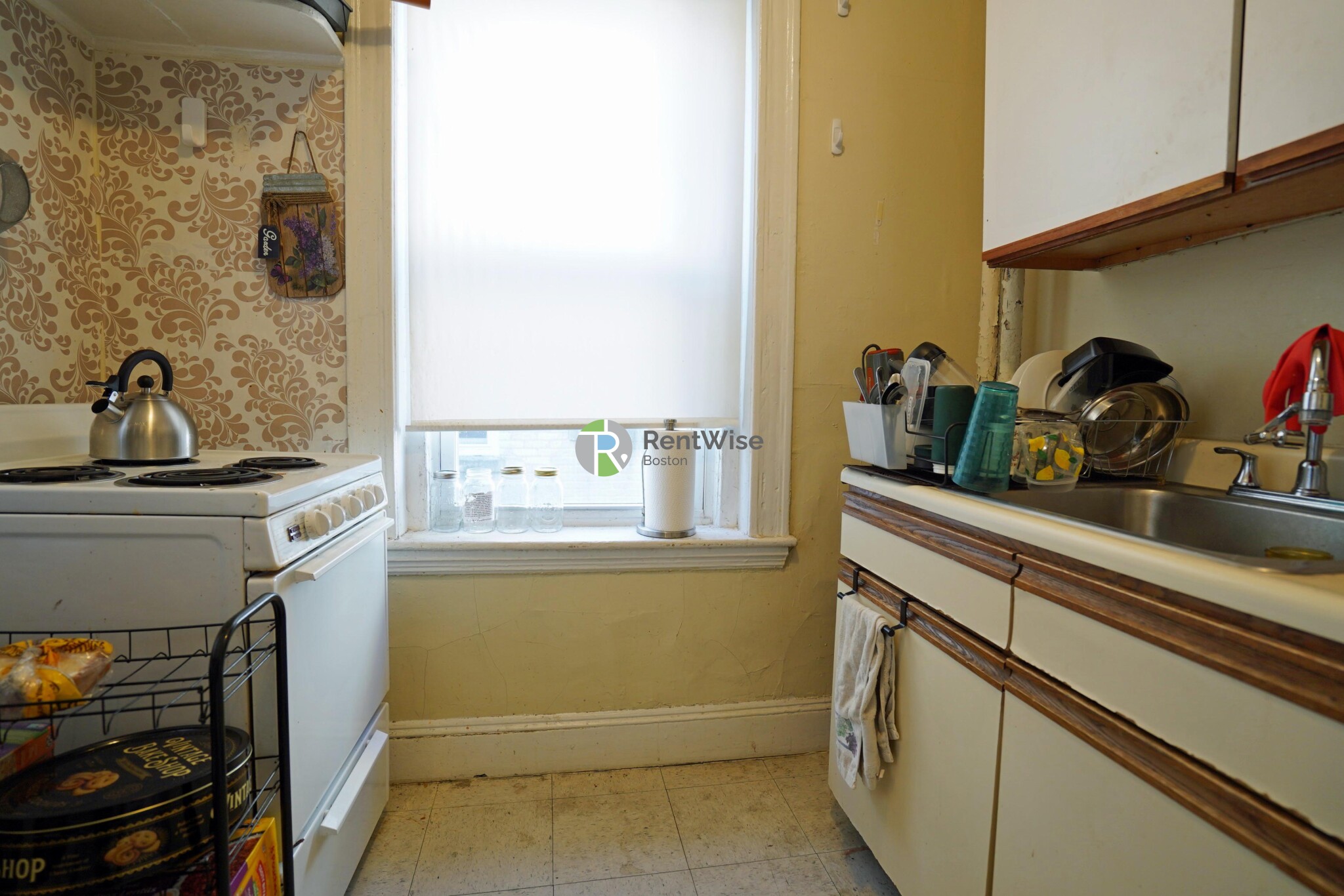 165 Kelton St, Brighton