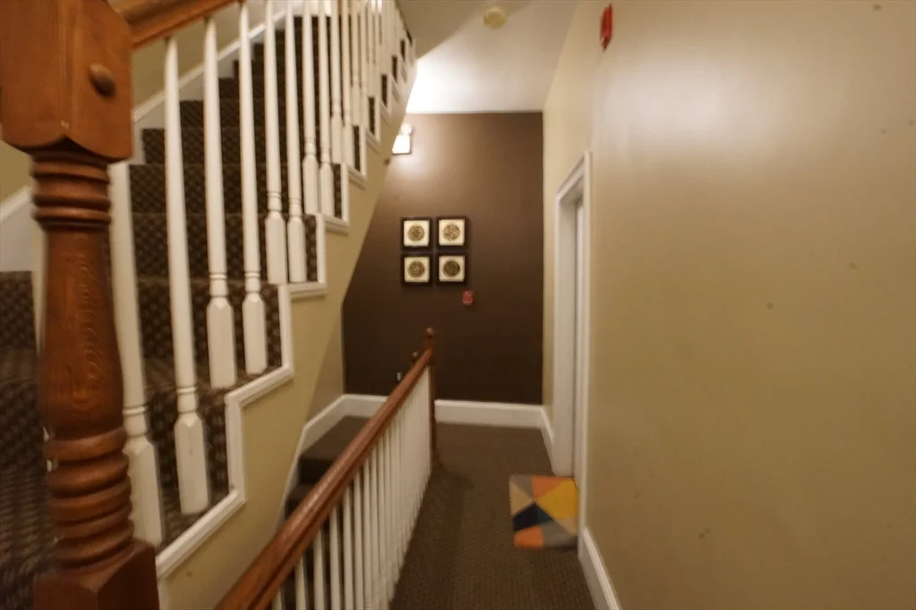 43 E Springfied, South End