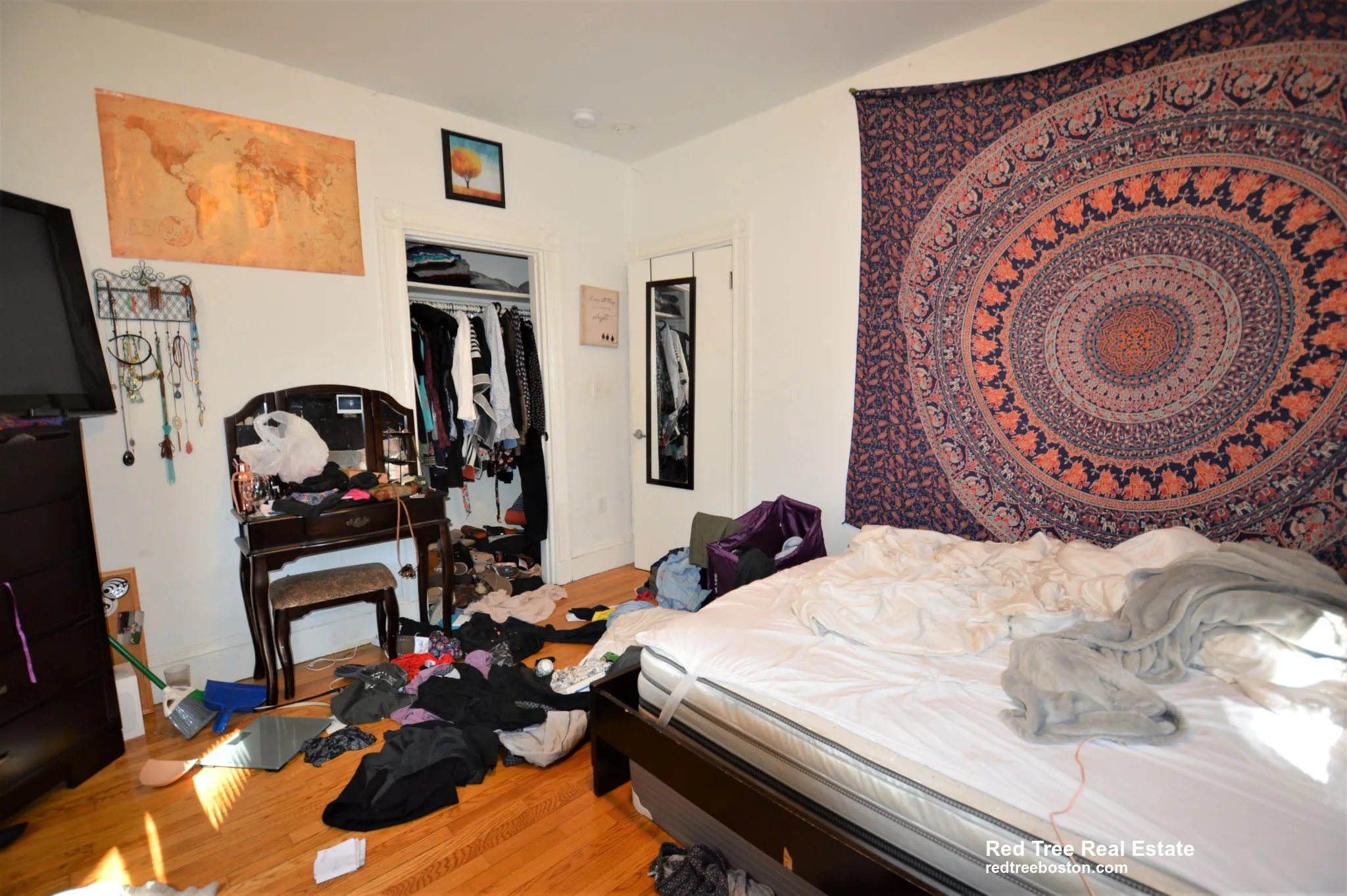 5 Murdock Ter, Brighton