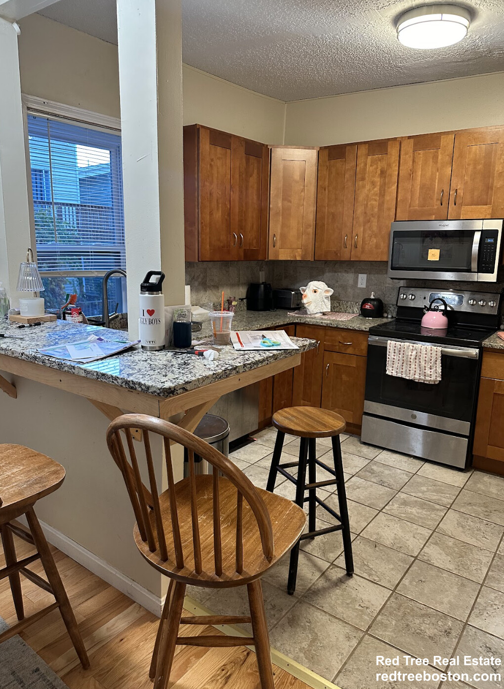 6 Bickford Ave, Mission Hill