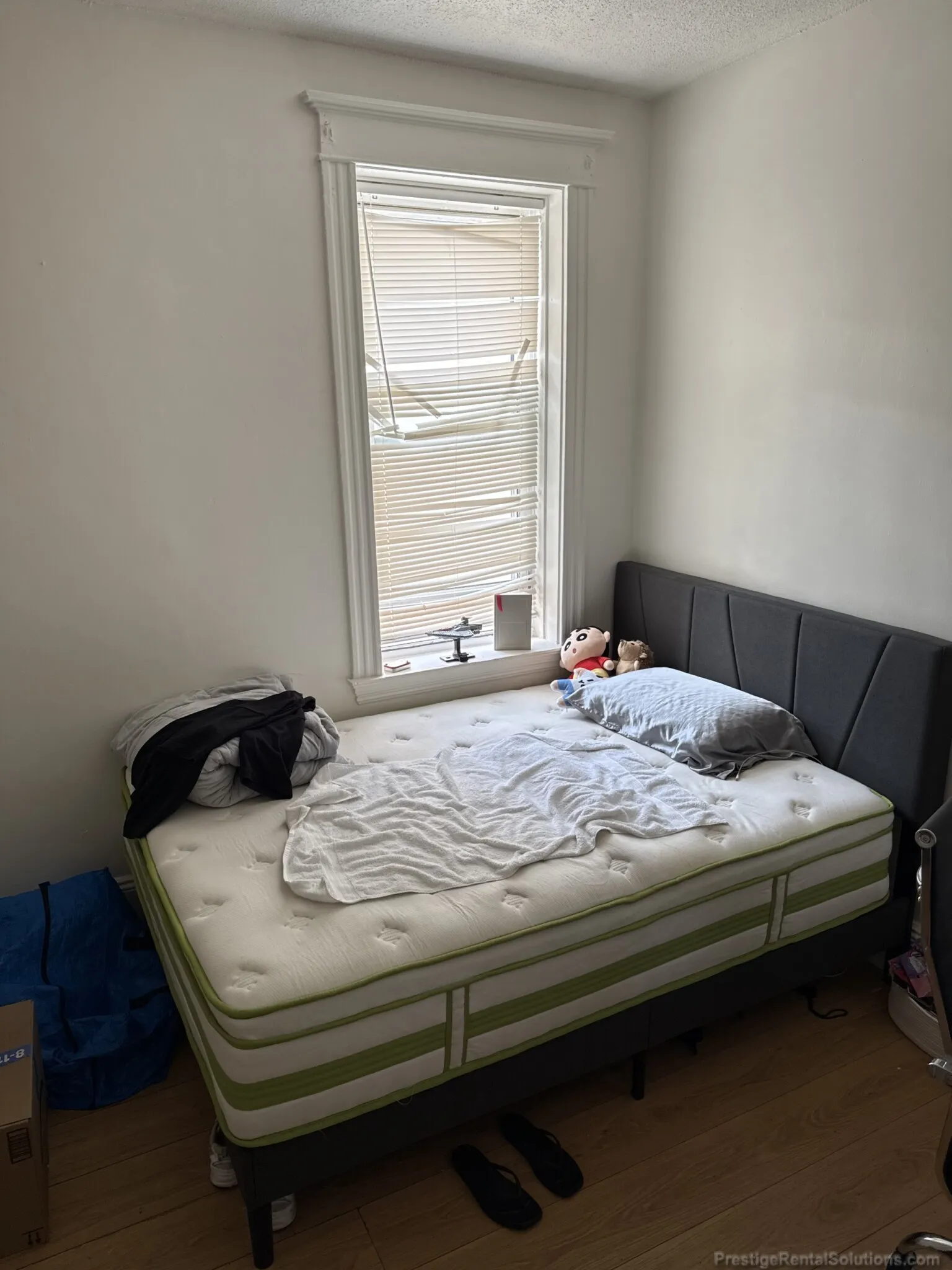 56 Park Vale Ave, Allston