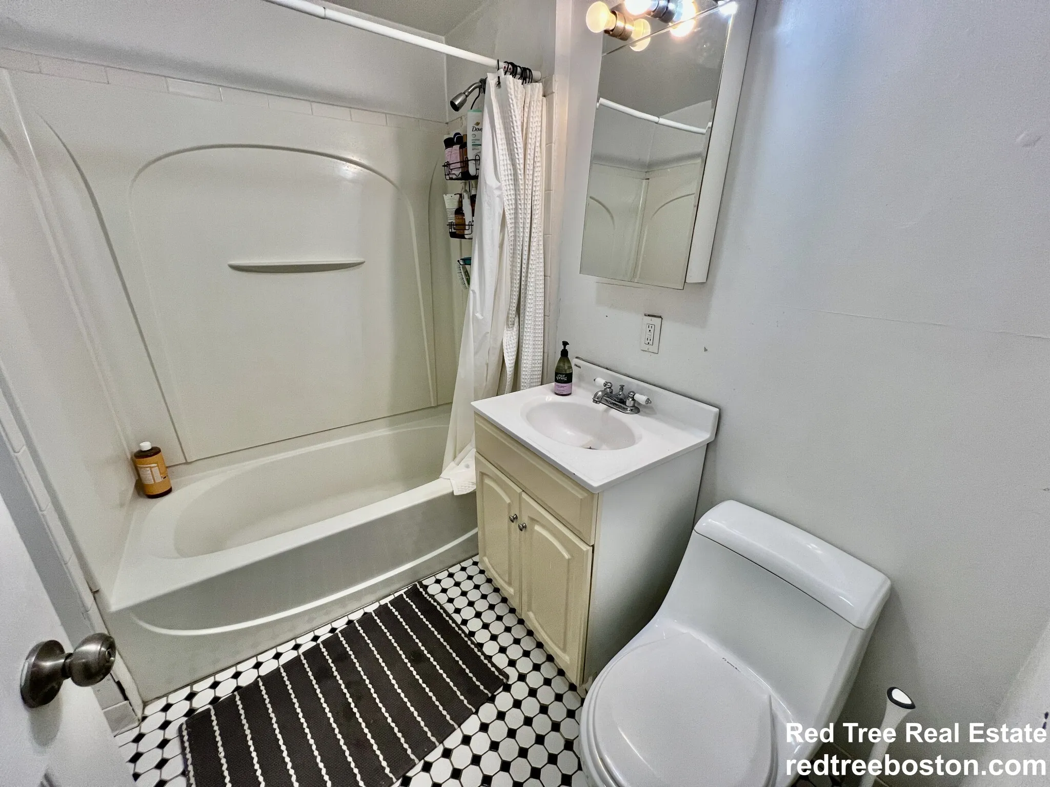 66 Egmont St, North Brookline