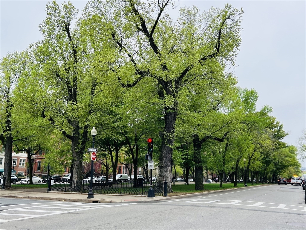 3 Fairfield St, Back Bay