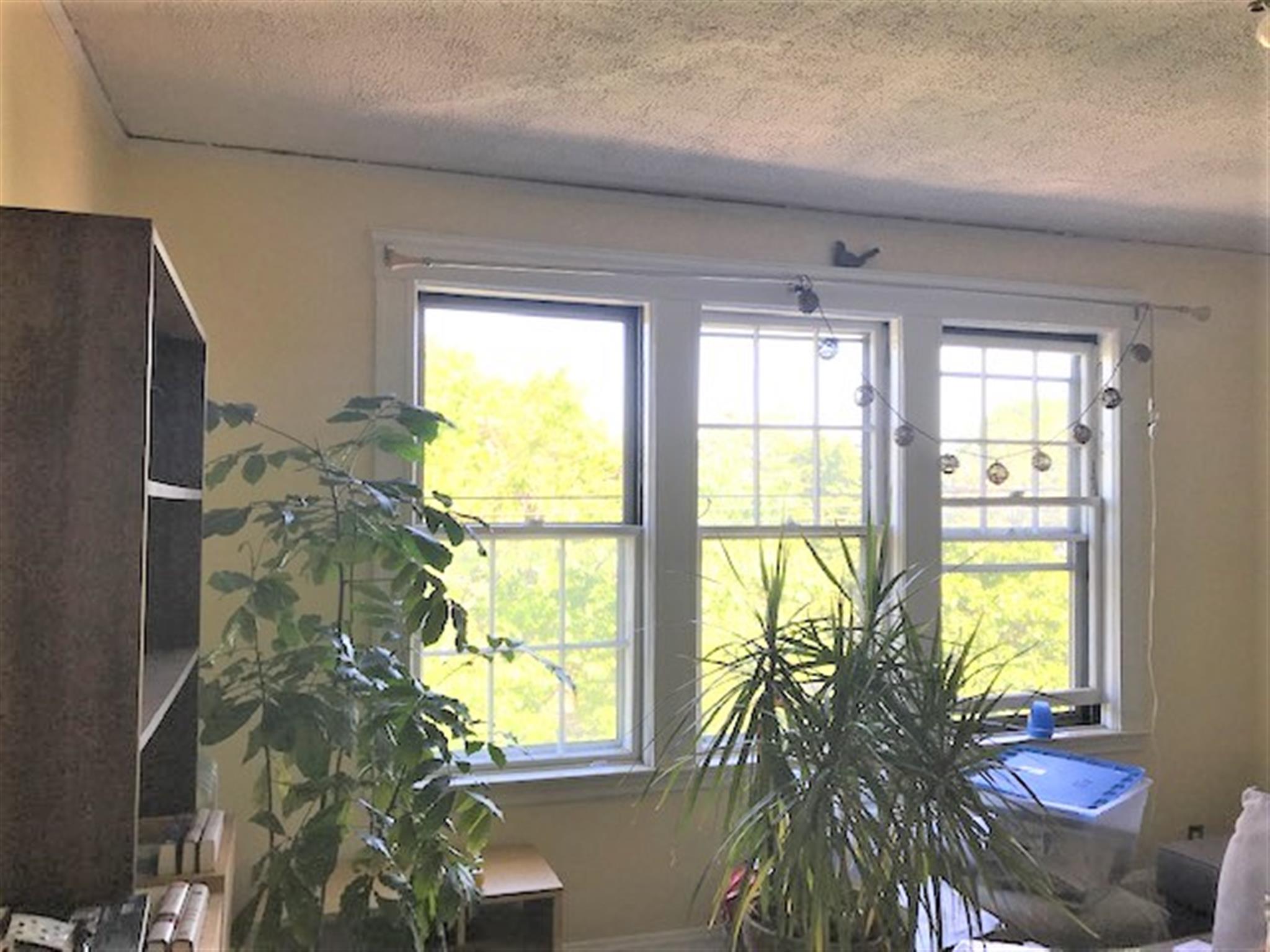 1 bed, 1 bath apartment for rent at 168 Norfolk St Unit 5, Central Square — photo 2 of 7