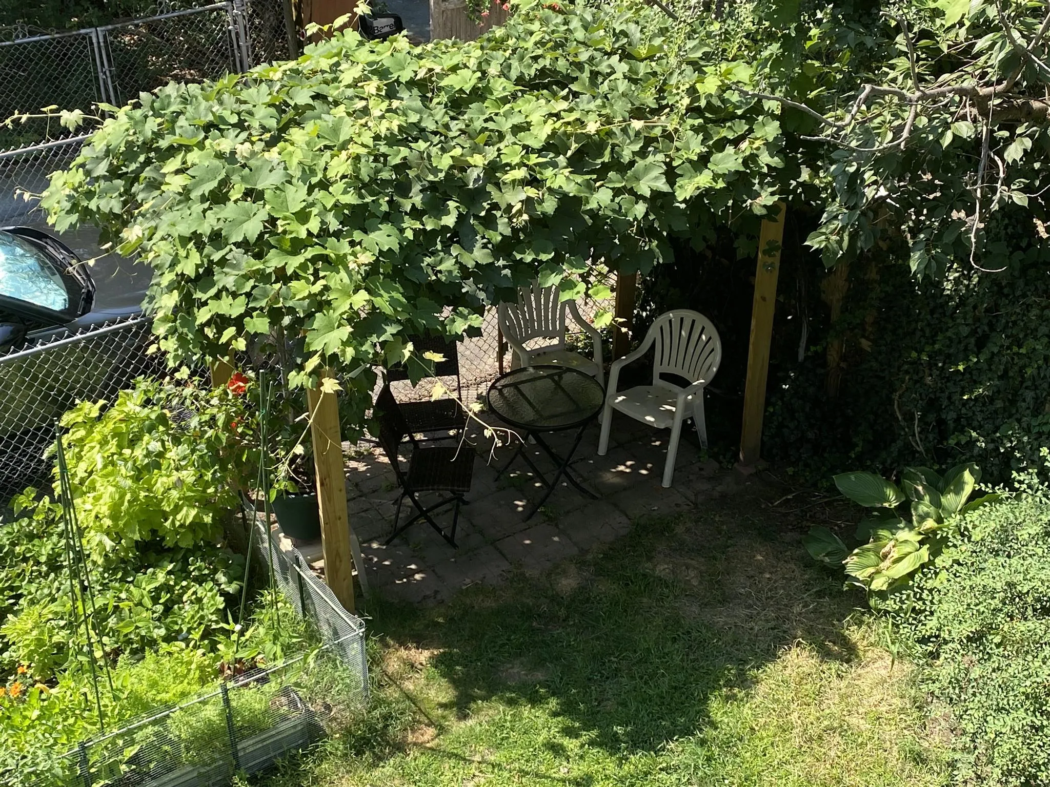 22 Reed St, North Cambridge