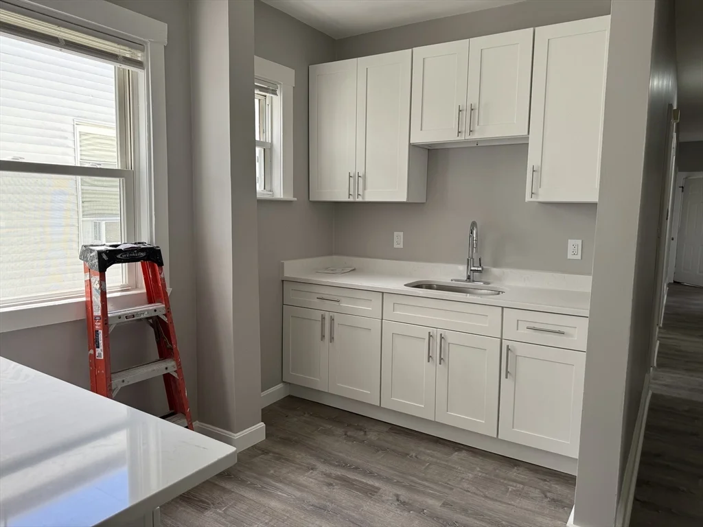 7 Woodward Park St, Roxbury