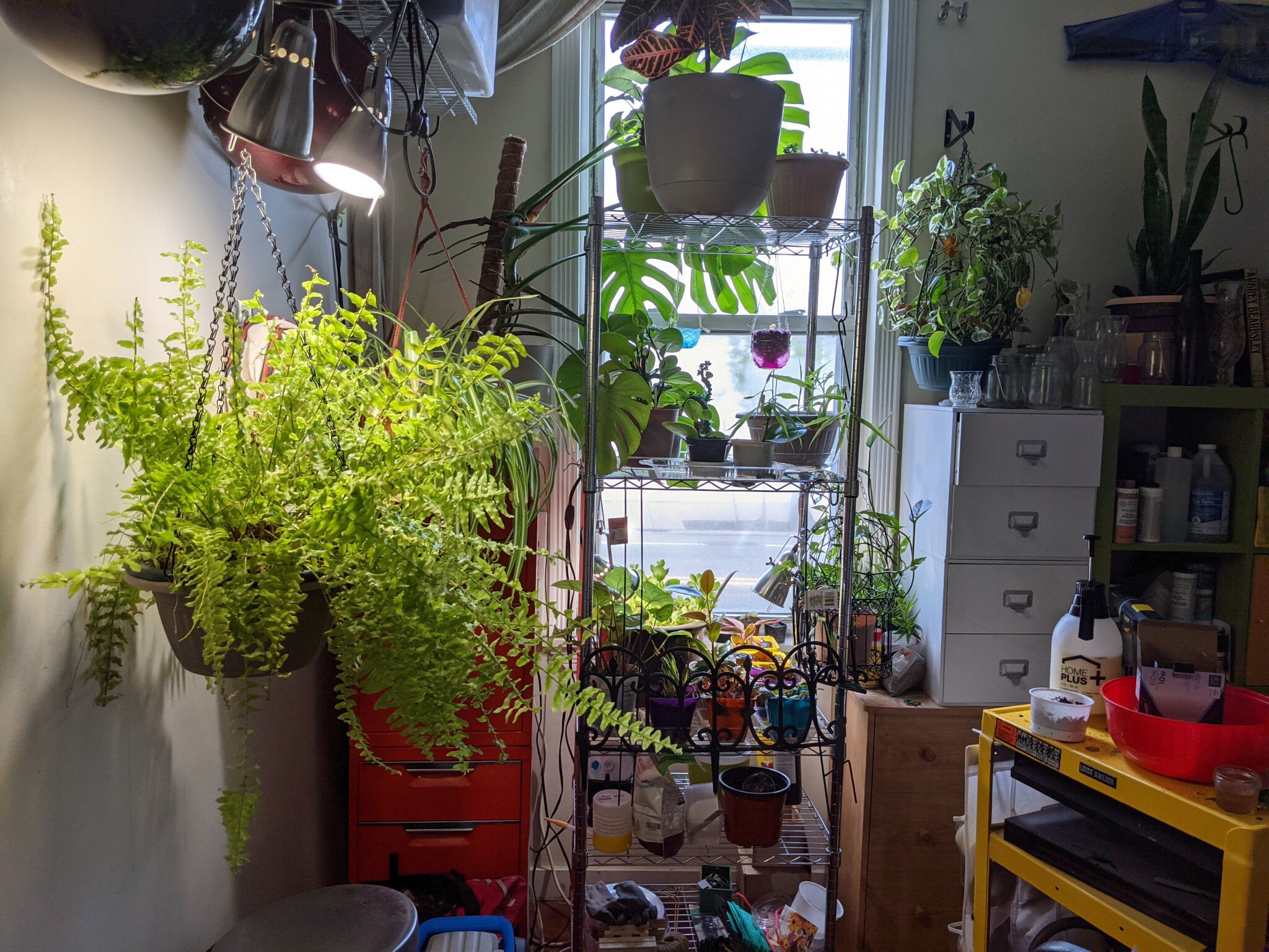 27 Park St, Ward Two