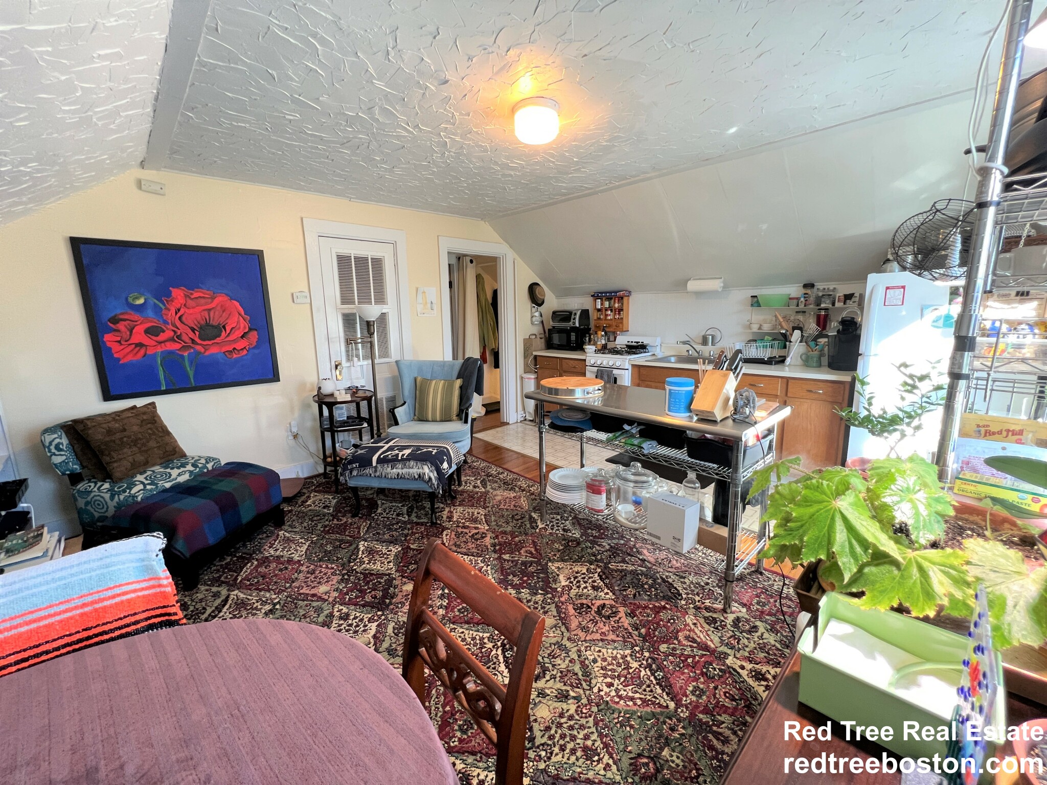 35 Danforth St, Jamaica Plain