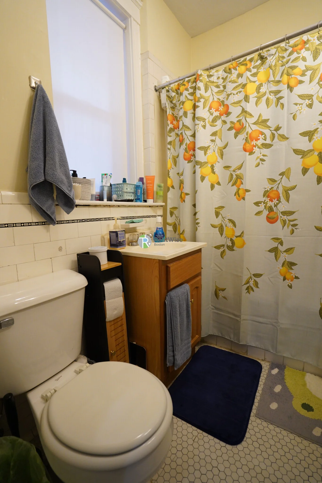 170 Kelton St, Brighton