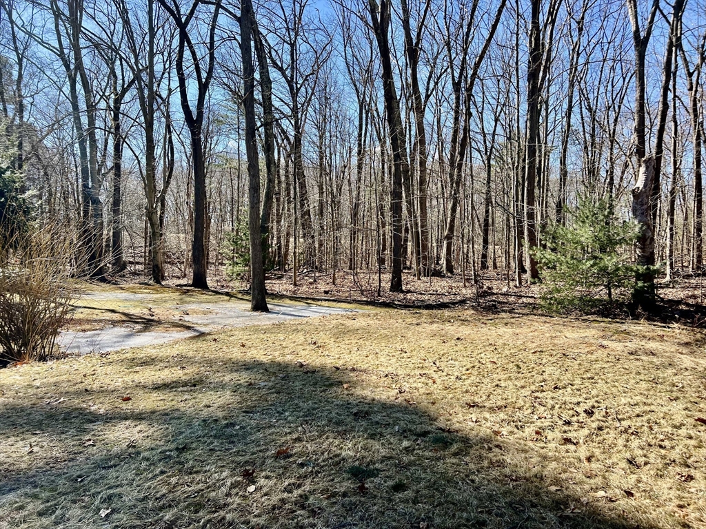 45 Maiden Ln, Wayland
