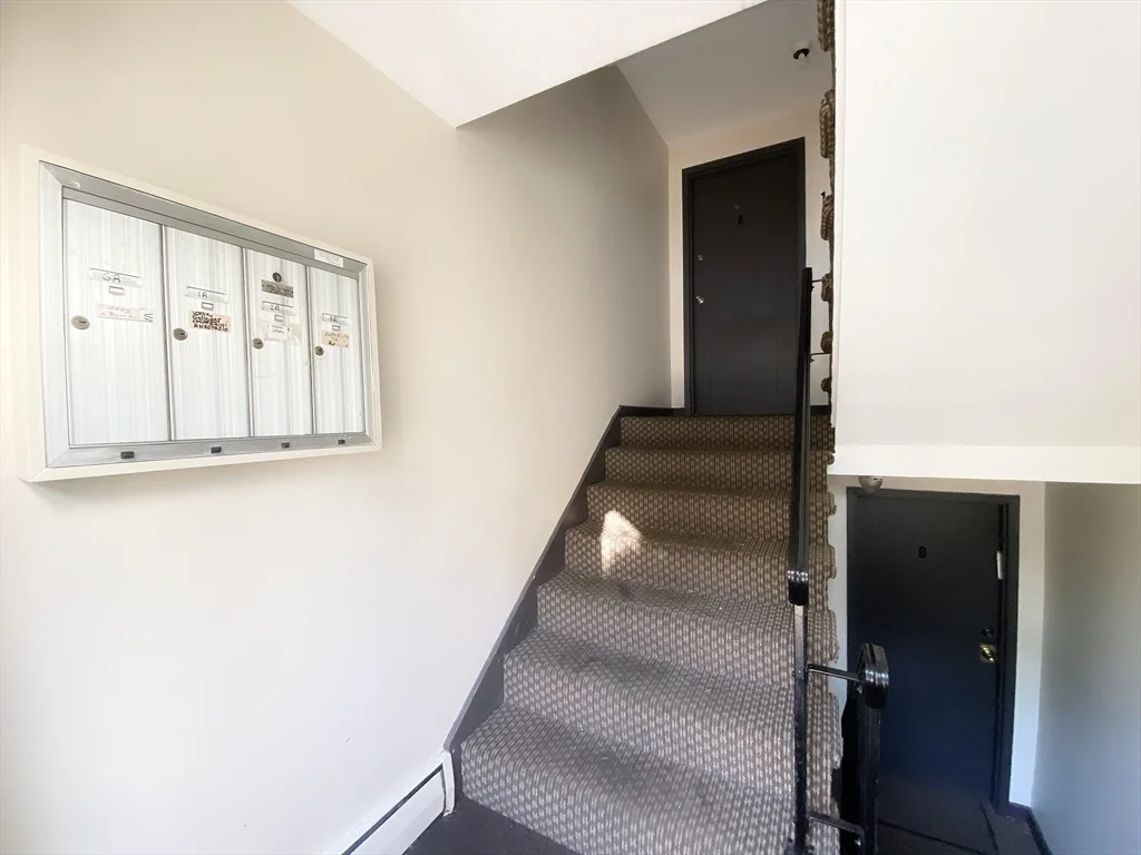 71 Colborne Rd, Brighton
