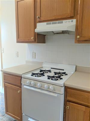 10 Agassiz St, Neighborhood Nine