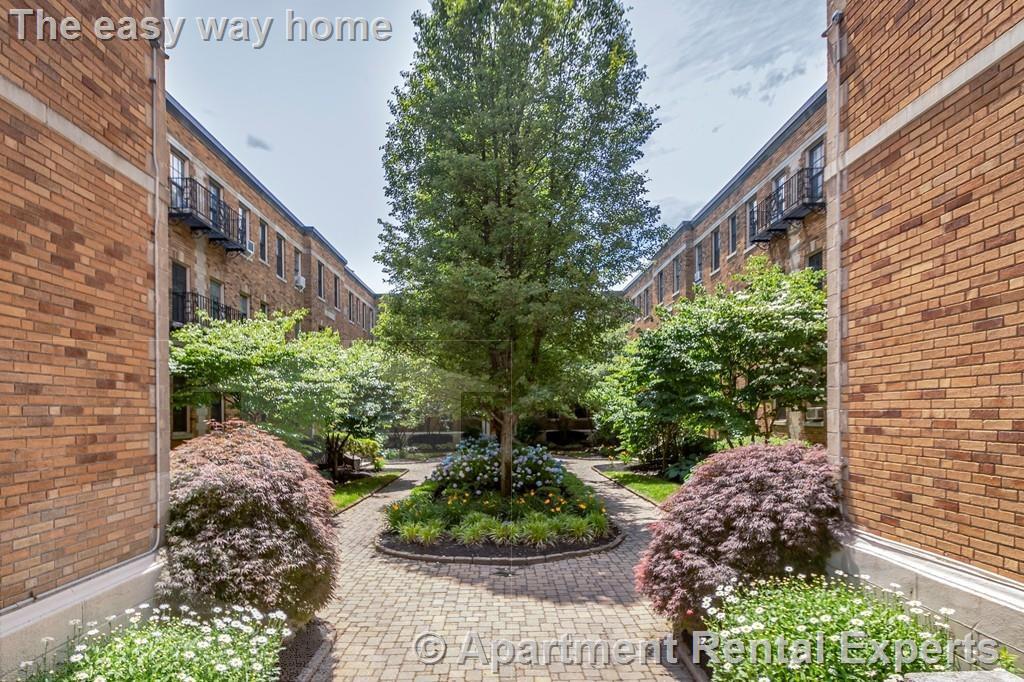 1 bed, 1 bath apartment for rent at 852 Massachusetts Ave Unit 3, Central Square — photo 5 of 7