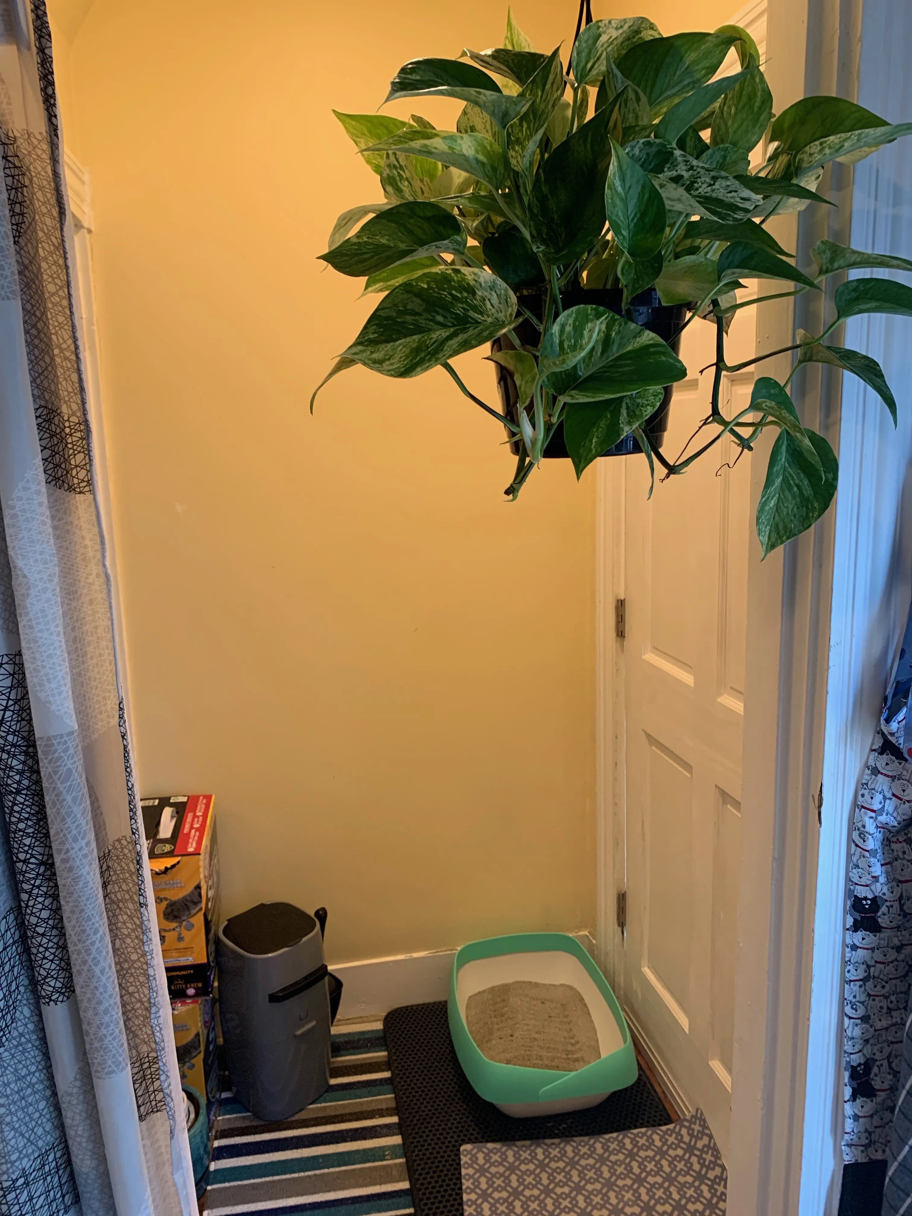 5 Blake St, North Cambridge