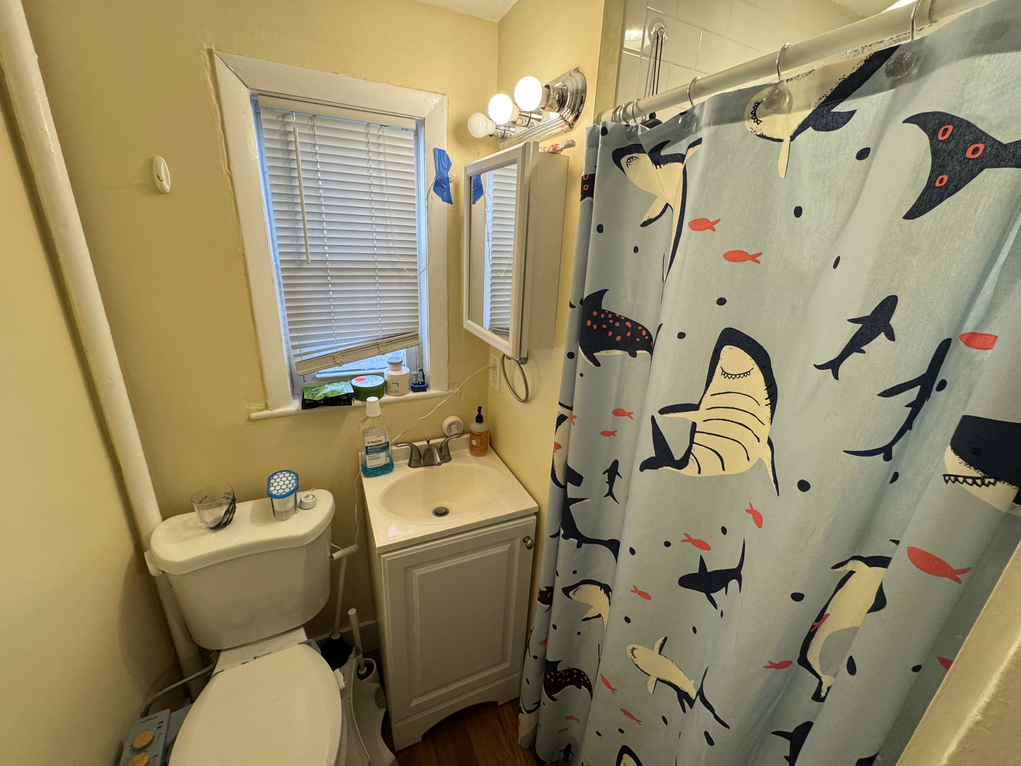 5 Blake St, North Cambridge