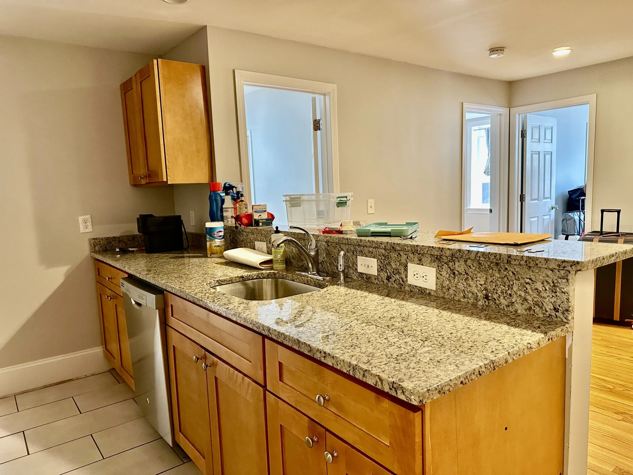 68 Egmont St, North Brookline