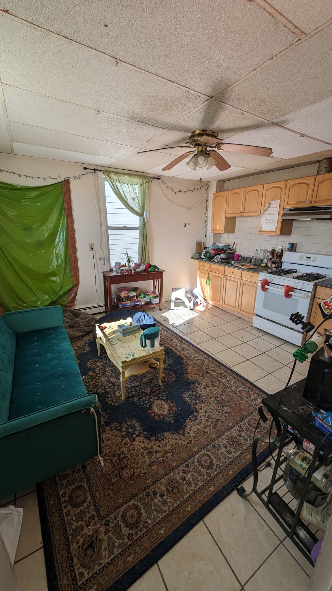 50 Fisher Ave, Mission Hill