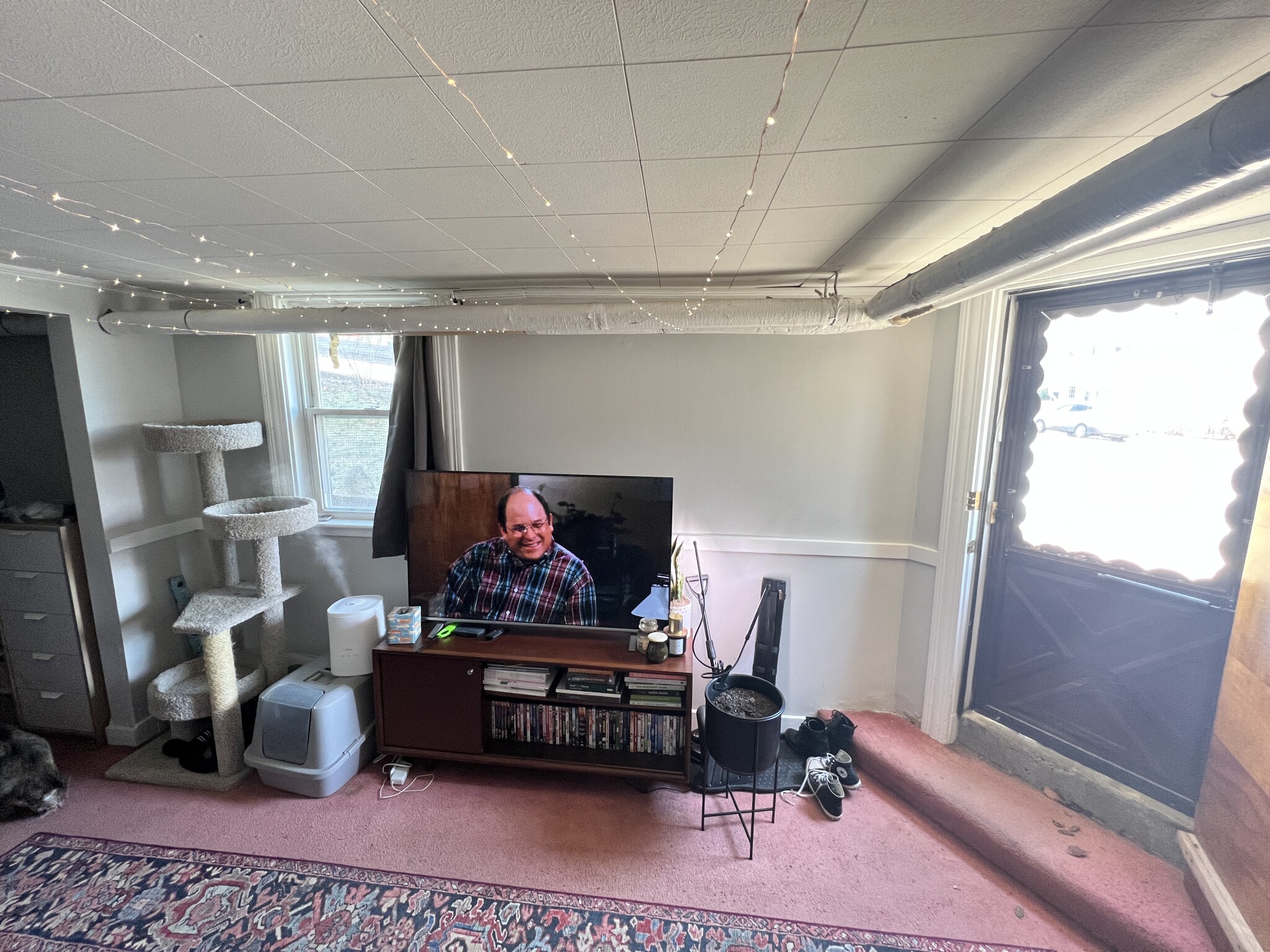 Studio bed, 1 bath apartment for rent at 27 Cameron Ave Unit 1B, North Cambridge — photo 3 of 20