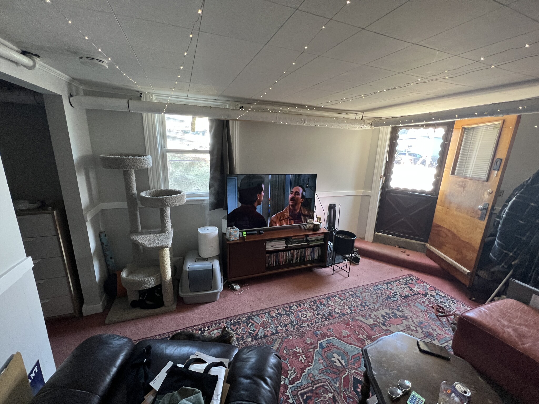 Studio bed, 1 bath apartment for rent at 27 Cameron Ave Unit 1B, North Cambridge — photo 5 of 20