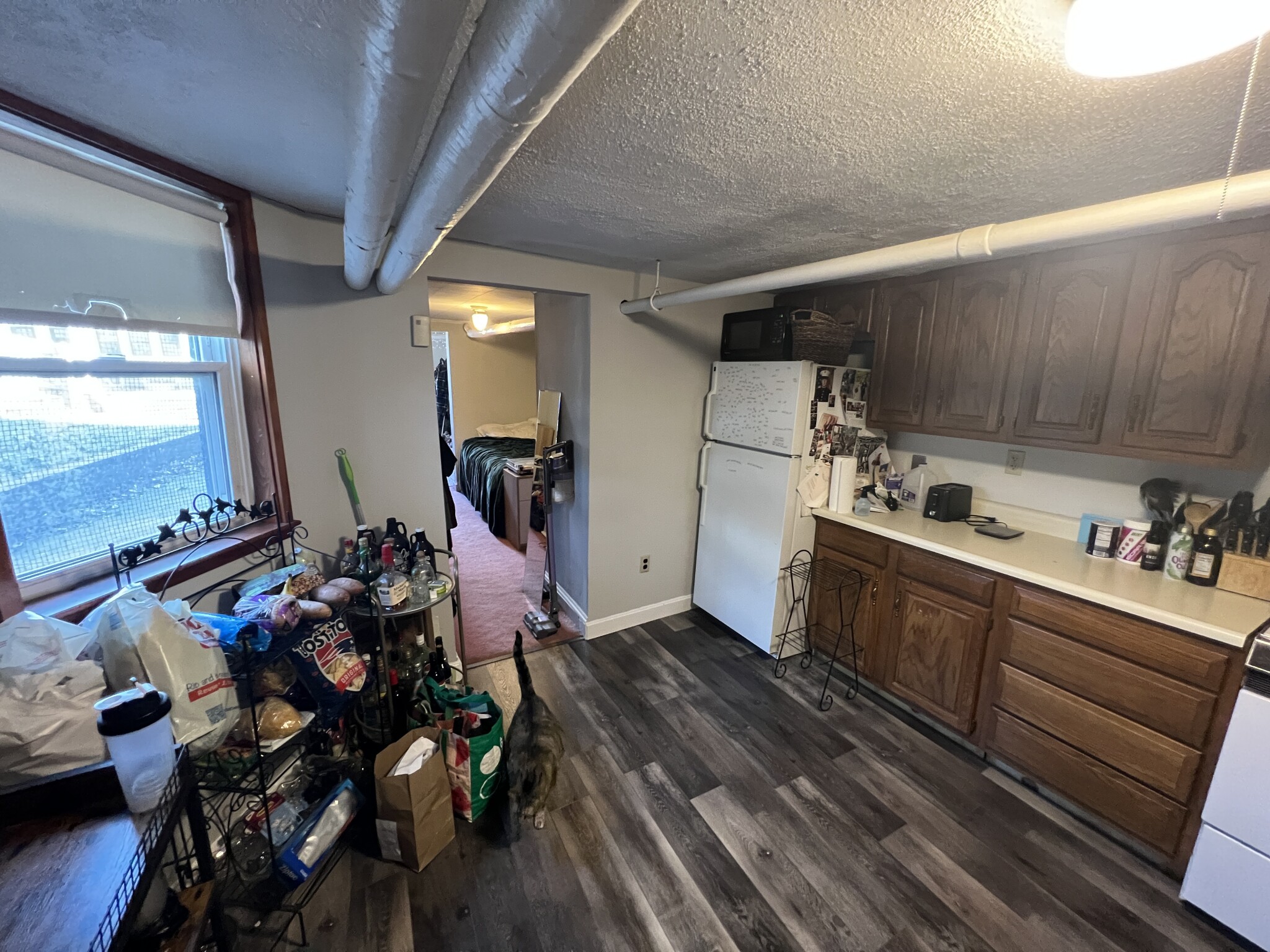Studio bed, 1 bath apartment for rent at 27 Cameron Ave Unit 1B, North Cambridge — photo 17 of 20