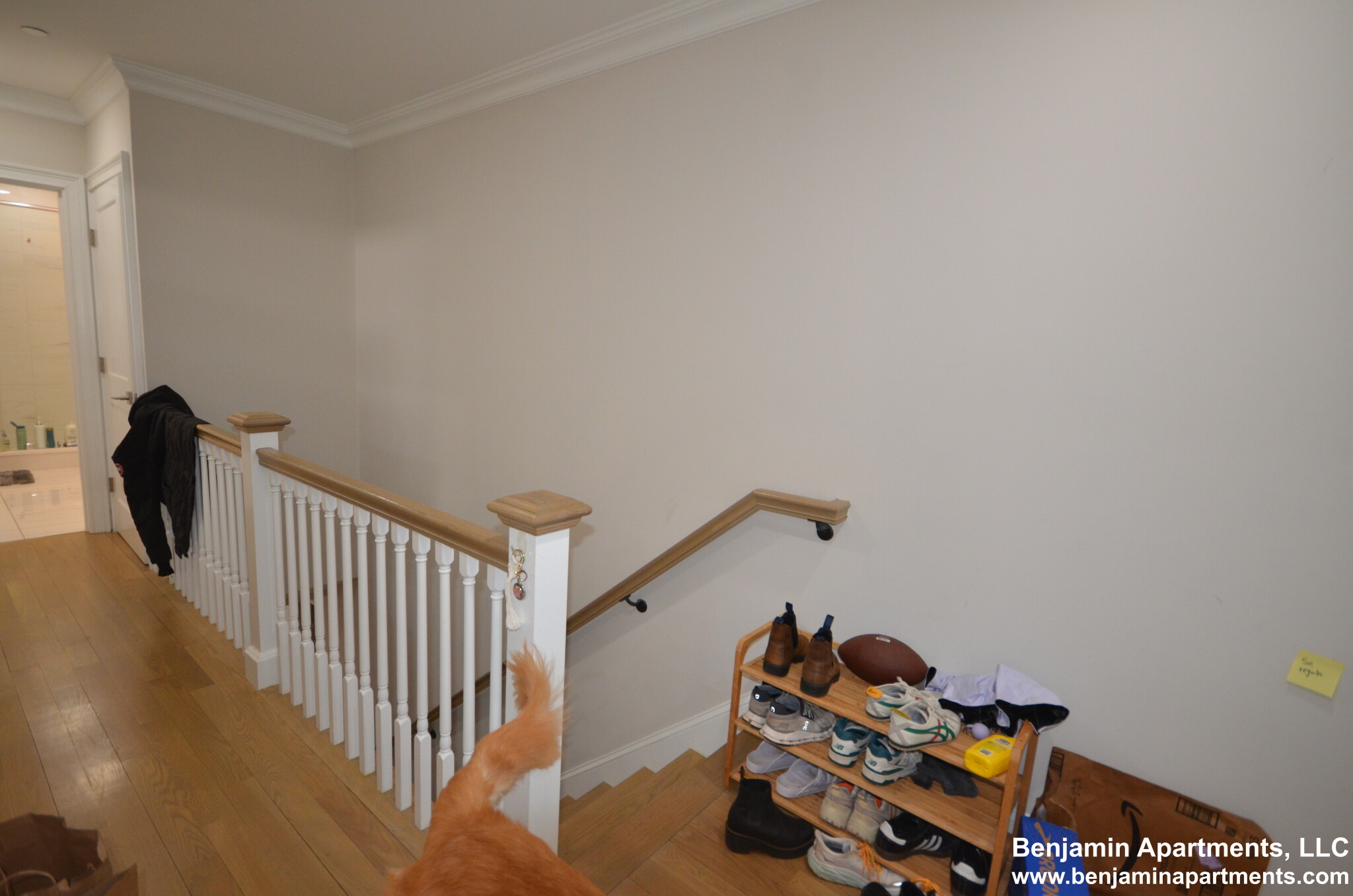 14 Mount Hood Rd, Brighton