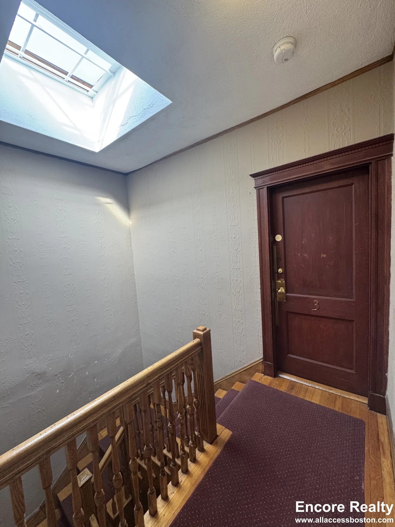 41 Orkney Rd, Brighton