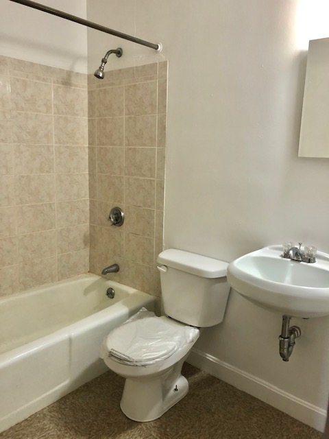 Studio bed, 1 bath apartment for rent at 272 Newbury St Unit 14, Back Bay — photo 4 of 6