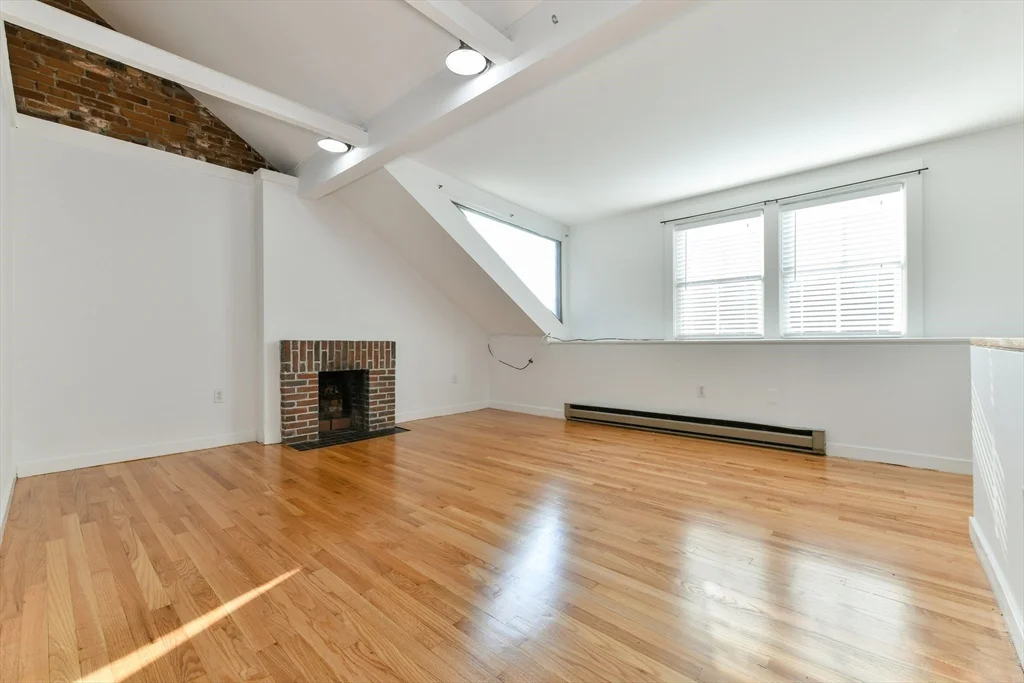 101 W Springfield St, South End